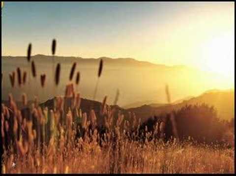 Free Stuff: Download Music and Videos