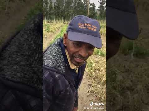 As jy dronk by die werk opdaag