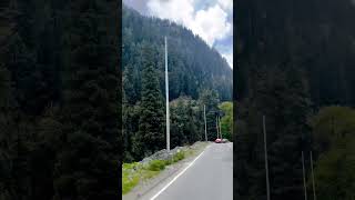 Download lagu Tu Is Tarah Se Meri Zindagi Mein Shamil Hai || Mohammed Rafi mp3 Download lagu Tu Is Tarah Se Meri Zindagi Mein Shamil Hai || Mohammed Rafi mp3