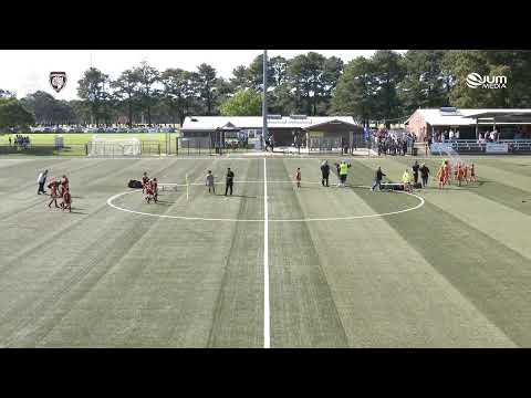 U9's M-SAP Grand Final - Camden Tigers v Eschol Park Wolves