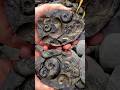 The Ammonites Inside Are Around 185 Million Years Old Older Than Most Of The Land Dinosaurs