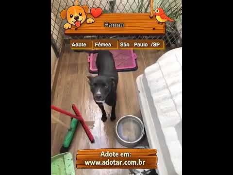 Vídeo de Hanna
