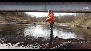 Рыбалка с берега в ленобласти