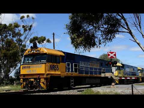 Freight Train (7MP5)