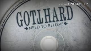 Not fooling anyone/Gotthard/album silver