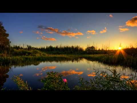 Cornel Sava - Din marea de mulţime