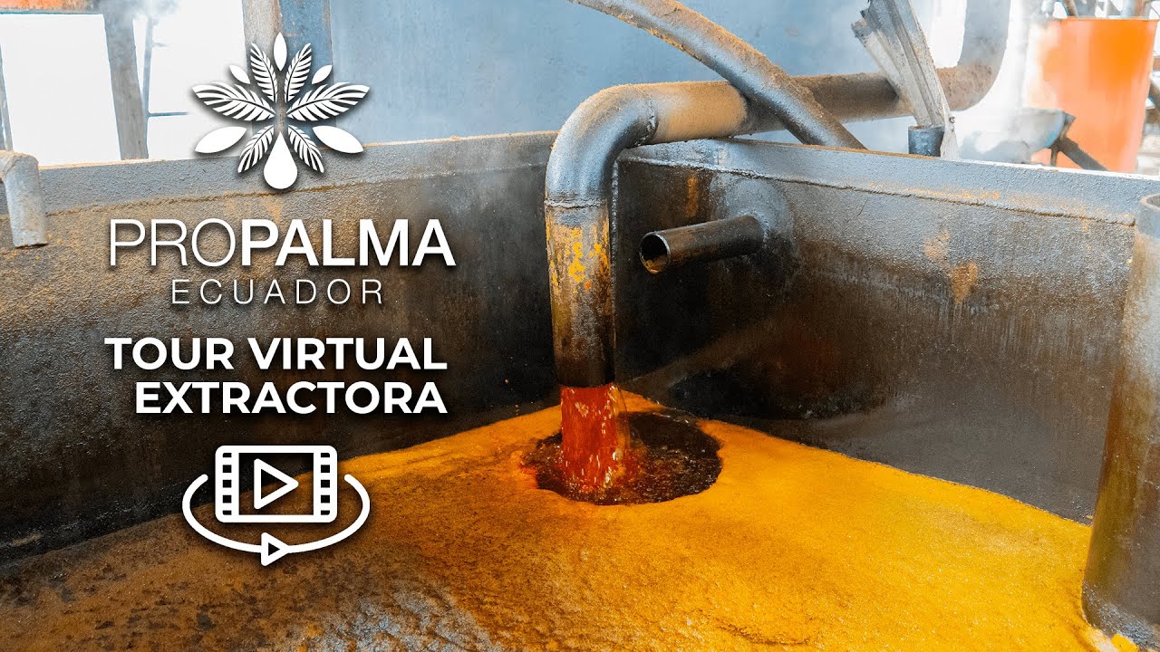 Tour Virtual de Extractora - PROPALMA ECUADOR