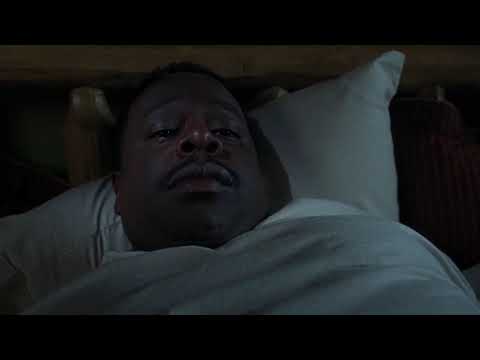 Johnston Family Vacation 2004 Alligator scene