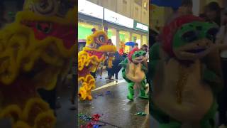 Download lagu BARONGSAI vs BADOT KATAK 🤣 #shortvideo mp3 Download lagu BARONGSAI vs BADOT KATAK 🤣 #shortvideo mp3
