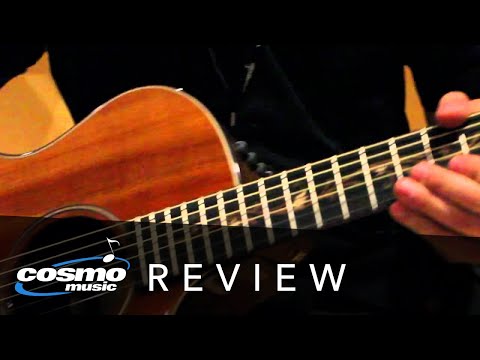 Taylor Acoustic Guitars Review (PS14CE K24CE PS14CE)