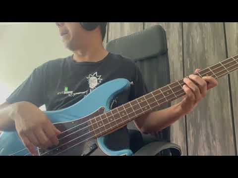 Video Killed the Radio Star (The Presidents of the United States of America) - Bass Cover