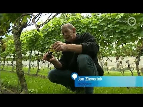 GLD Nieuws 24 september 2015