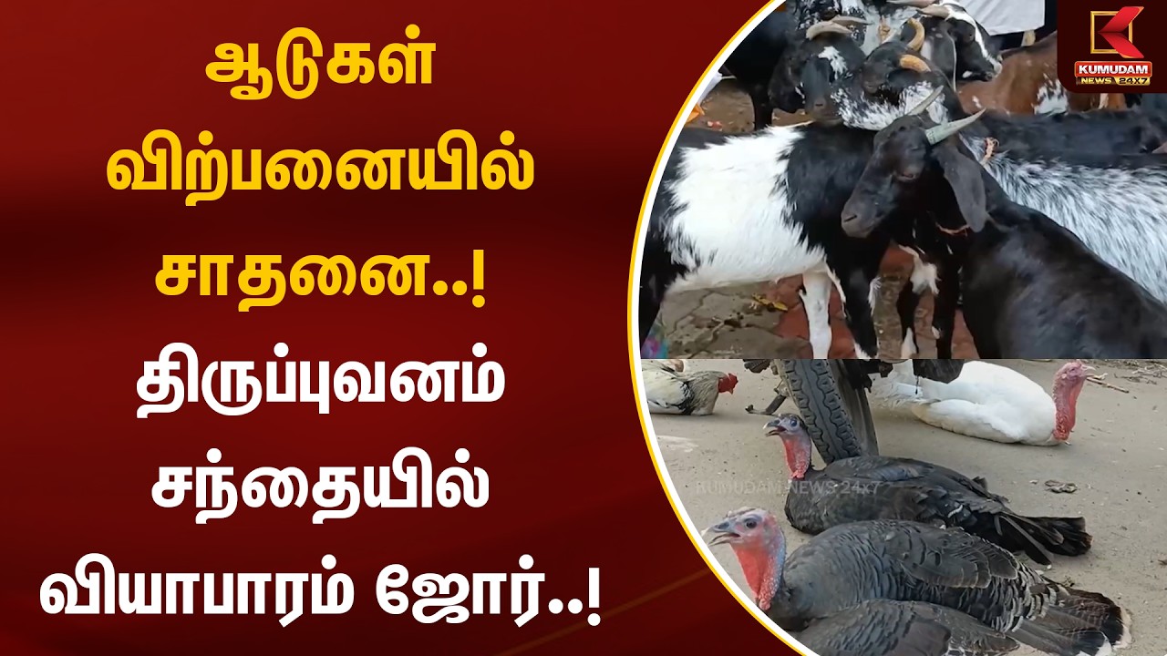 ஆடுகள் விற்பனையில் சாதனை..! திருப்புவனம் சந்தையில் வியாபாரம் ஜோர்..! | Thiruppuvanam | Goat Sale