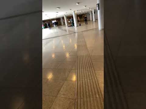 NemcsakSanya @ Budapest Keleti Station - Sunny (Bobby Herb song - 1963)