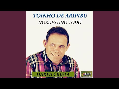 O Bondoso Amigo - Toinho de Aripibú