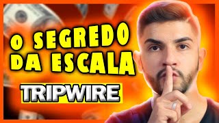 FUNIL TRIPWIRE: Como Ganhar Escala Nas Suas Vendas Online