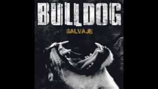 Music video thumbnail preview for Resistir Luchando - Bulldog by Bulldog