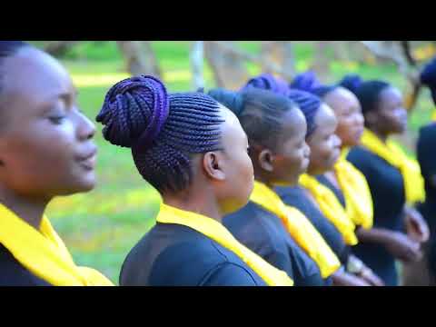 mchenga Utuwa Cyf. mfumu ndapulika