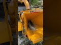 Small chipper Big Money 💰 #trees #viral #trending #trend #viralshorts #trendingshorts #video