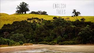 English Trees - Crowded House Cover