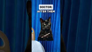 Download lagu Lady Gives Birth During Coma | Cat Memes mp3 Download lagu Lady Gives Birth During Coma | Cat Memes mp3