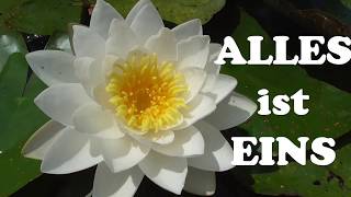 ALLES ist EINS - und warum das für die Wunscherfüllung so wichtig ist