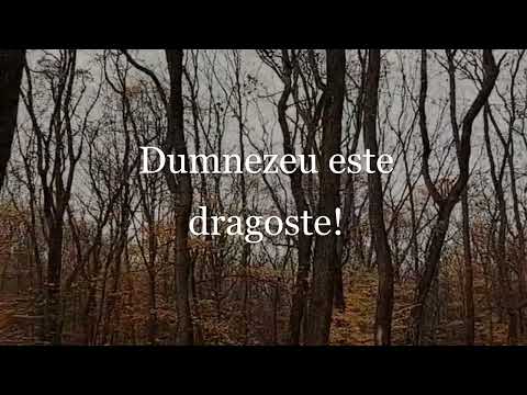 Wagner Sebastian - Fii dragoste