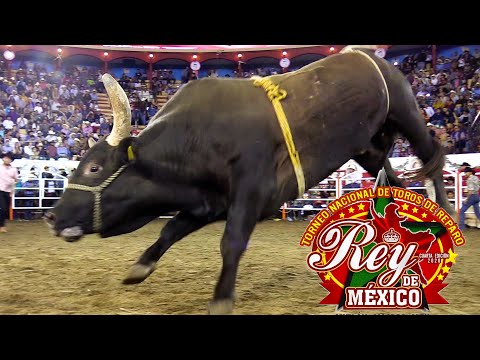 ¡TORNEO REY DE MÉXICO 2020! 30 DE LOS MEJORES TOROS DE REPARO DE MÉXICO Y EUA