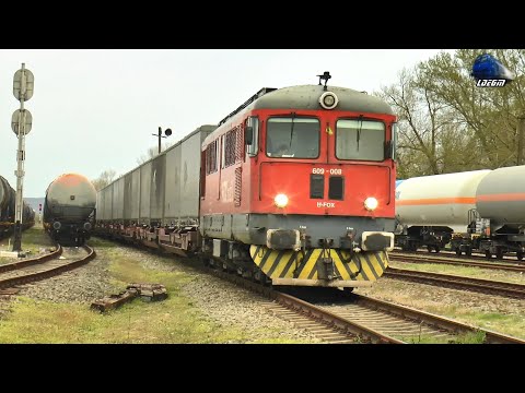 Trenurile Serii & Activitate Feroviară în Gara Episcopia Bihor - 11 Aprilie 2025