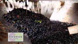 preview picture of video 'Toorak Winery Leeton Vintage 2013'