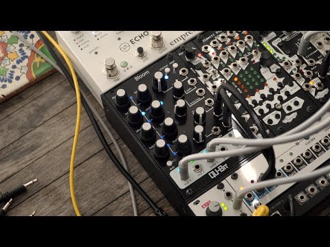 Qu-Bit Electronix Bloom | Reverb