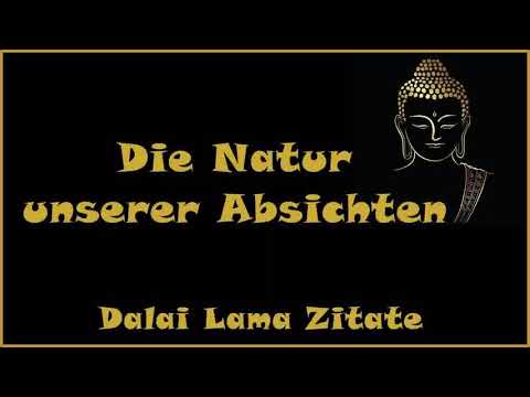 Zur Inspiration: Die Natur unserer Absichten - Zitate vom Dalai Lama