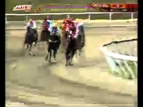 LA RINCONADA 9 CARRERA DOMINGO 08 DE FEBRERO DEL 2015