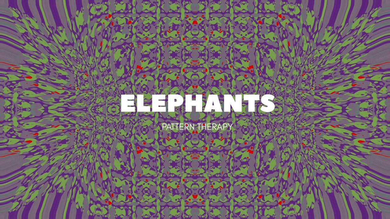 Elephants