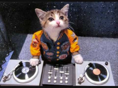 DJ Atomik vs. E-Maxx - Boom Shag Ragga 2008.wmv