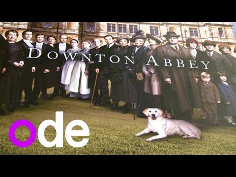 ダウントン・アビー シーズン5：キャストがキャラクターと一緒に2014年にタイムトラベル (Downton Abbey Season 5: Cast time-travels with their characters to 2014)