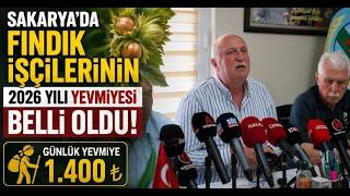 Sakaryada Fındık İşçilerinin 2026 Yılı Yevmiyesi Belli Oldu