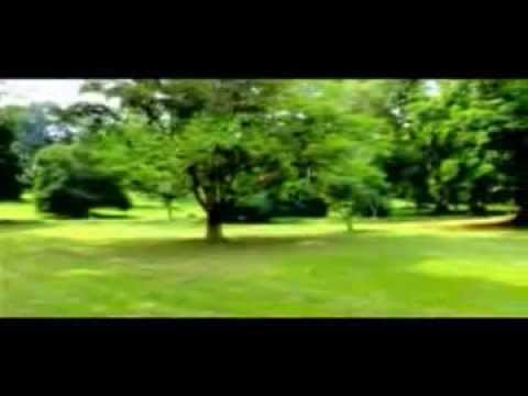 Michael Ross K - Nze Akwagala.