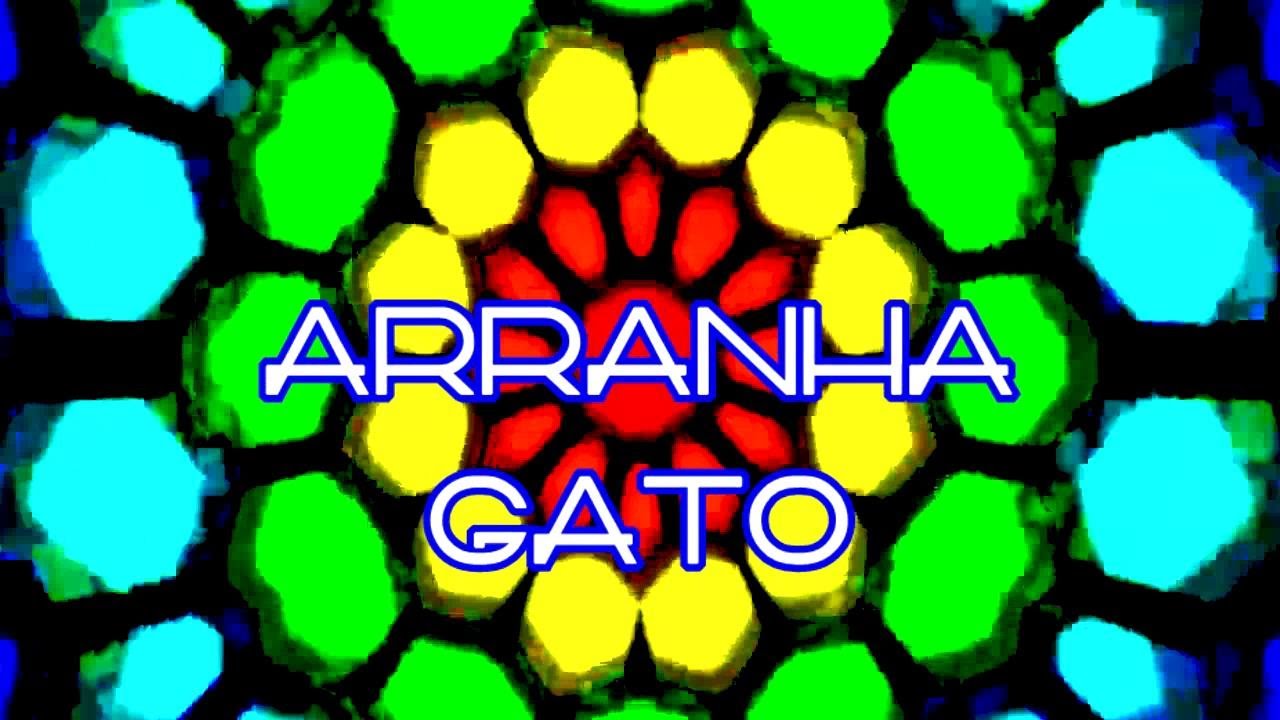 ARRANHA GATO (Paulo Kannéc/João Parahyba)