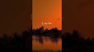 Download lagu Sandhana Kaatre ❤️ | SPB | Janaki |Ilayaraja | Tamil old songs | Music Zone Tamil | #tamilsonglyrics mp3