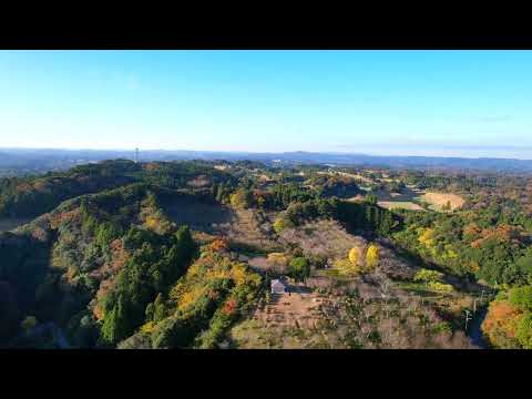 【町勢要覧】野見金公園ドローン撮影