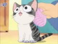 THX Cat Brush