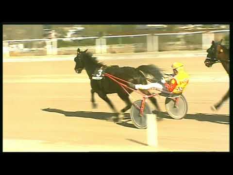 Trotto 14/02/2020 - 1ª corsa