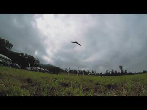stone-blue-airlines-flying-circus--sport-finalsspeed-passes