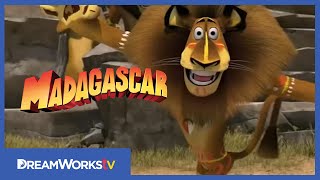 Video trailer för Madagaskar 2