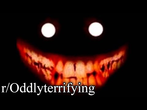 r/Oddlyterrifying | nope