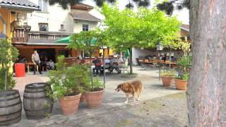 preview picture of video 'Götzis, Gastgarten Ortspark am Kumma'