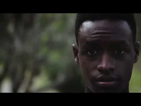 A Missão Reviver na janela 10x40