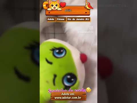 Vídeo de João