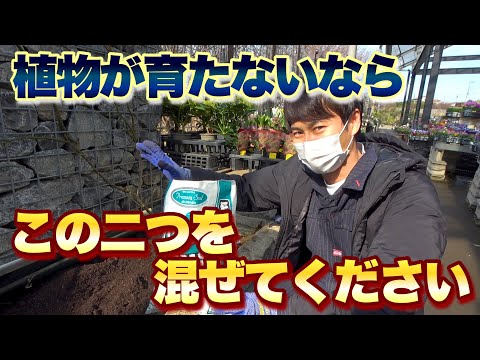 園芸 粘土の利点